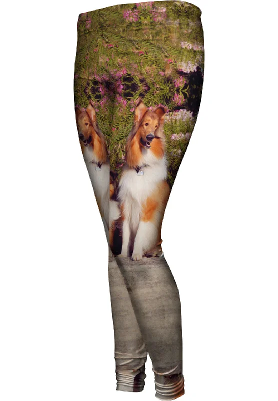 Sheltie Wall Flower